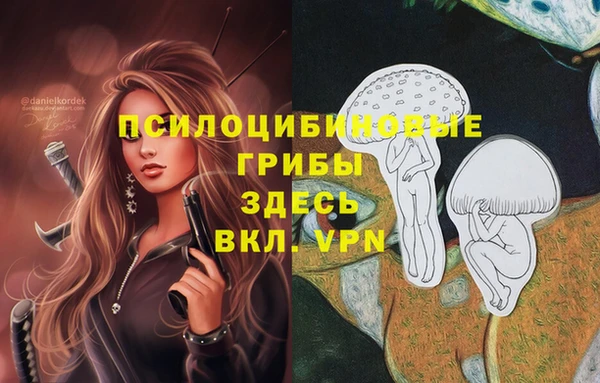 apvp Алзамай