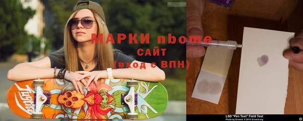 apvp Алзамай