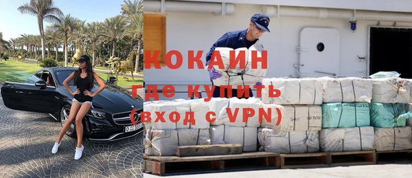 индика Рославль