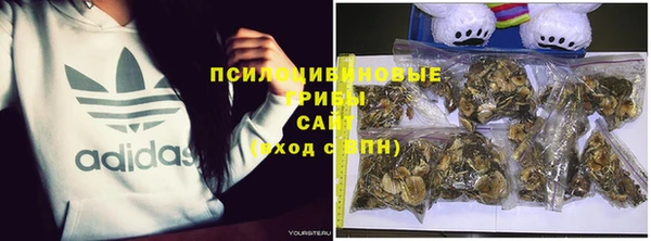 apvp Алзамай